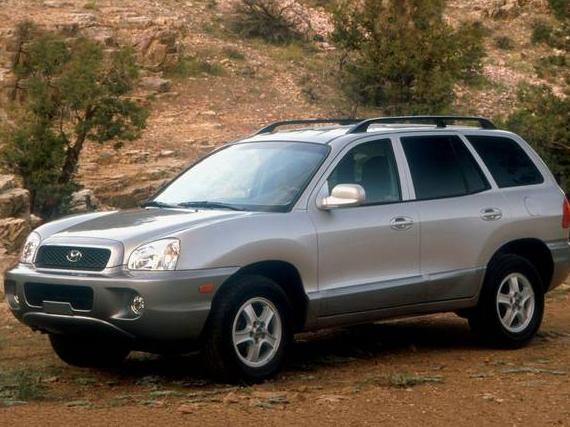 HYUNDAI SANTA FE 2003 KM8SC13D03U378879 image